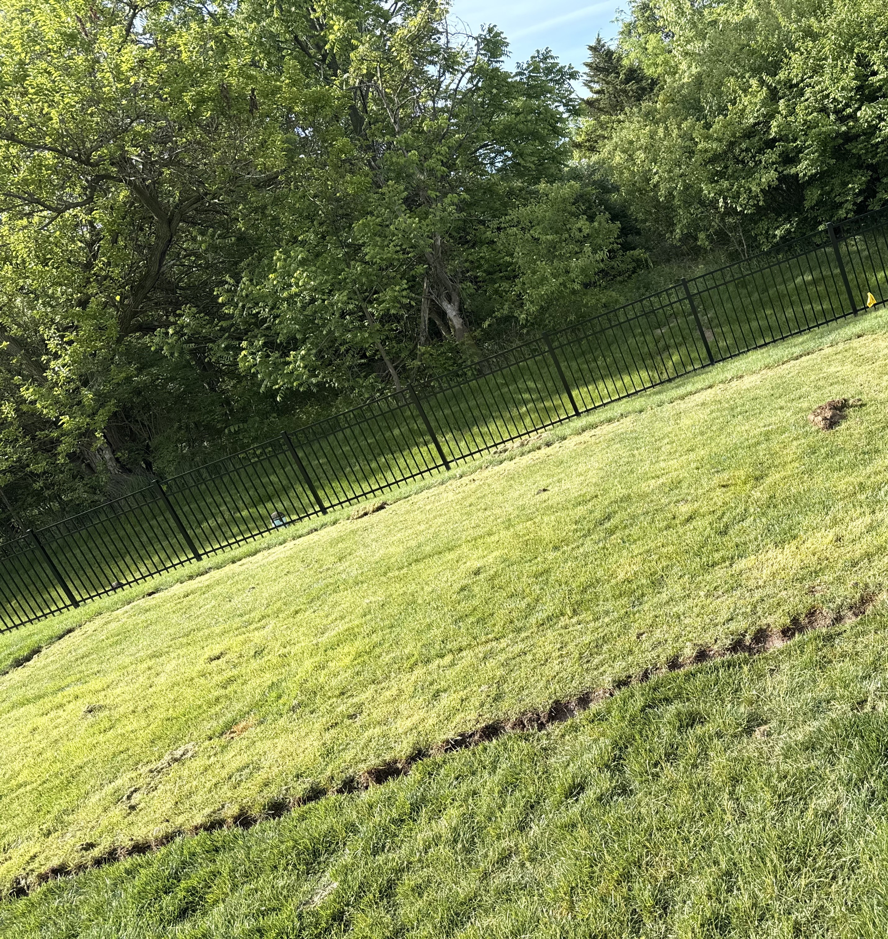 Empty backyard slope before playset install